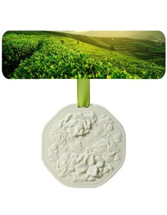 Aromatic Hanging Scent Pendant – Green Tea