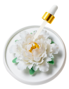 Diffuseur d’huiles essentielles en céramique – Fleur de pivoine blanche
