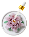 Diffuseur en céramique fleur de pivoine violet