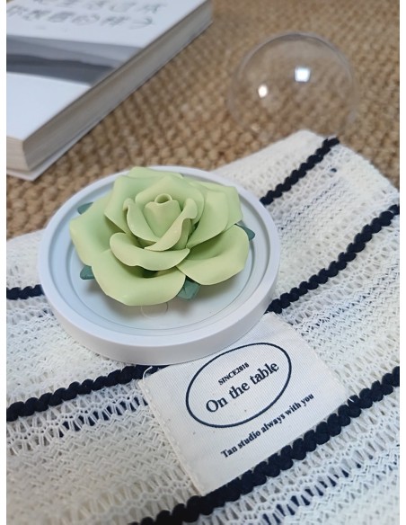 Porte-encens en céramique rose verte avec bâtons de santal