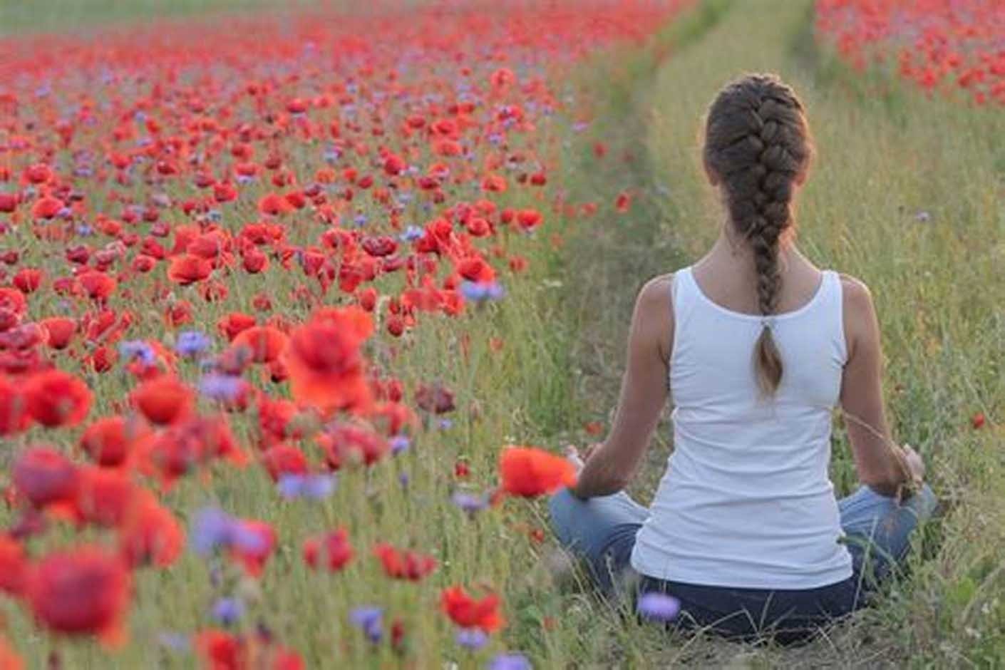 Calma per l’anima: il potere curativo del sonno e dell’equilibrio emotivo