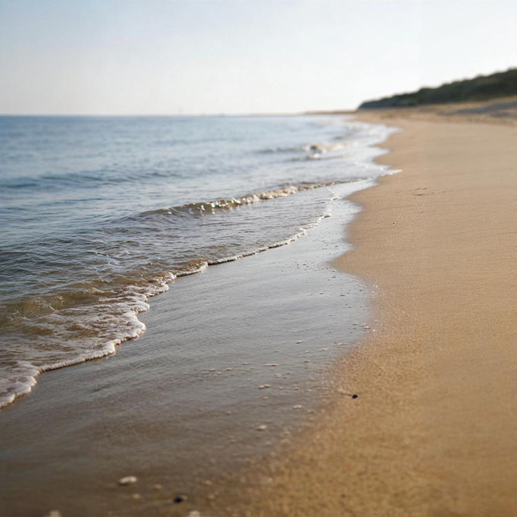 Image link